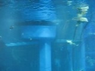Osaka Aquarium, Japan Part Five