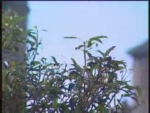 Village d'Antraigues sur Volane, en Ardeche