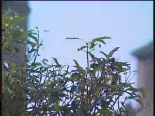 Village d'Antraigues sur Volane, en Ardeche