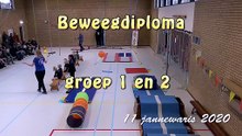 2020 11 jannewaris Beweegdiploma