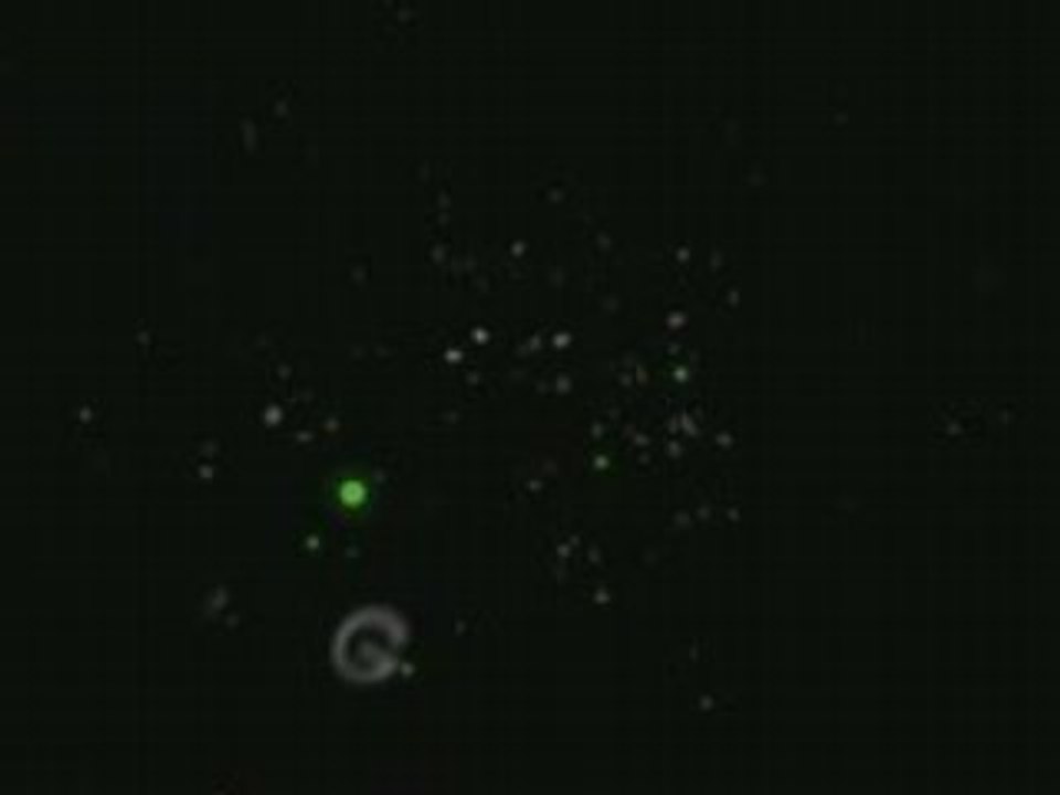 Firefly