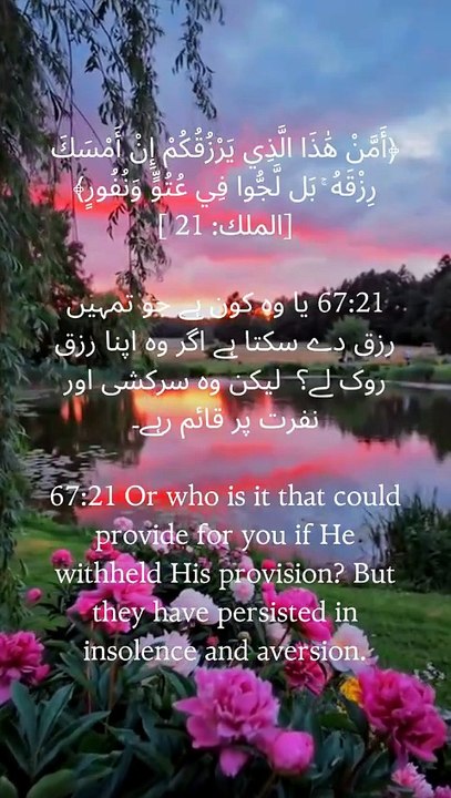 Who can provide for you if Allah withholds His provision? Your rizq is in His hands alone. Trust Allah and never lose hope. 🤍  #Quran #TrustAllah #Rizq #Islam #Faith