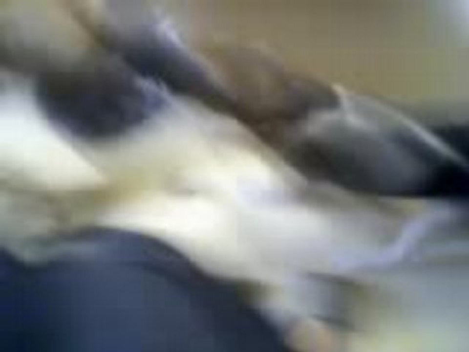 Vidéo-000a
