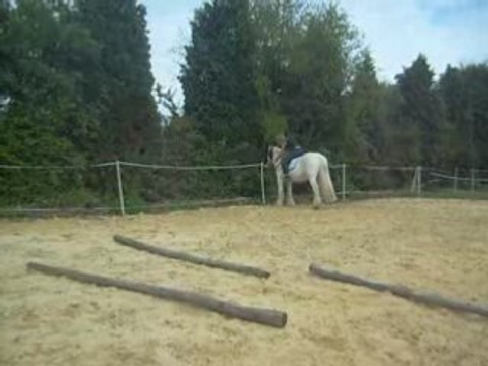 deplacements lateraux bis