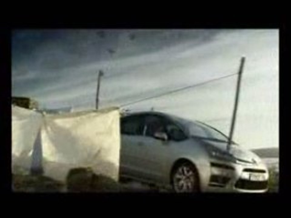 Citroen C4 Birds