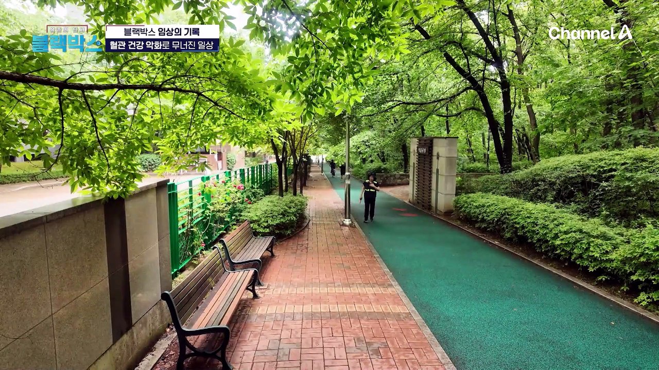 혈관 건강 악화로 무너진 일상 ★혈관 건강 개선 2주 프로젝트★