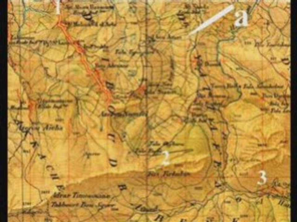 entre l'Algérie et la France céline dion phil collins