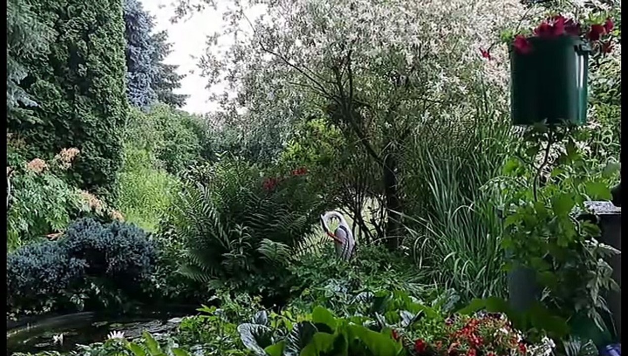 Ein Gewitter im Sommer | Die Erde holt Luft