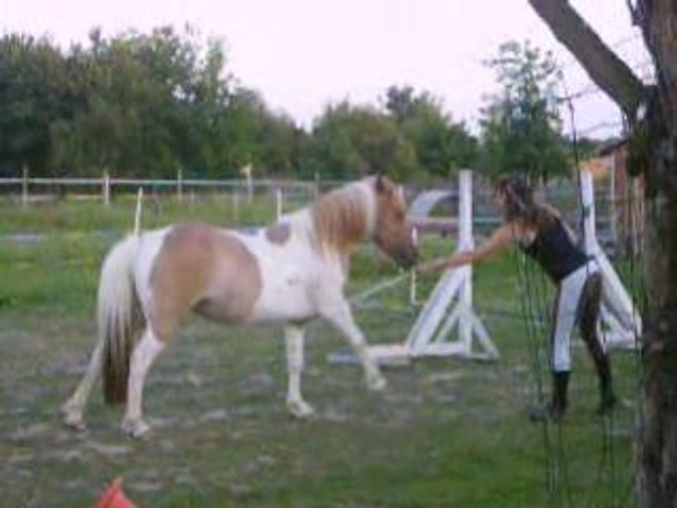 IMGP0734
