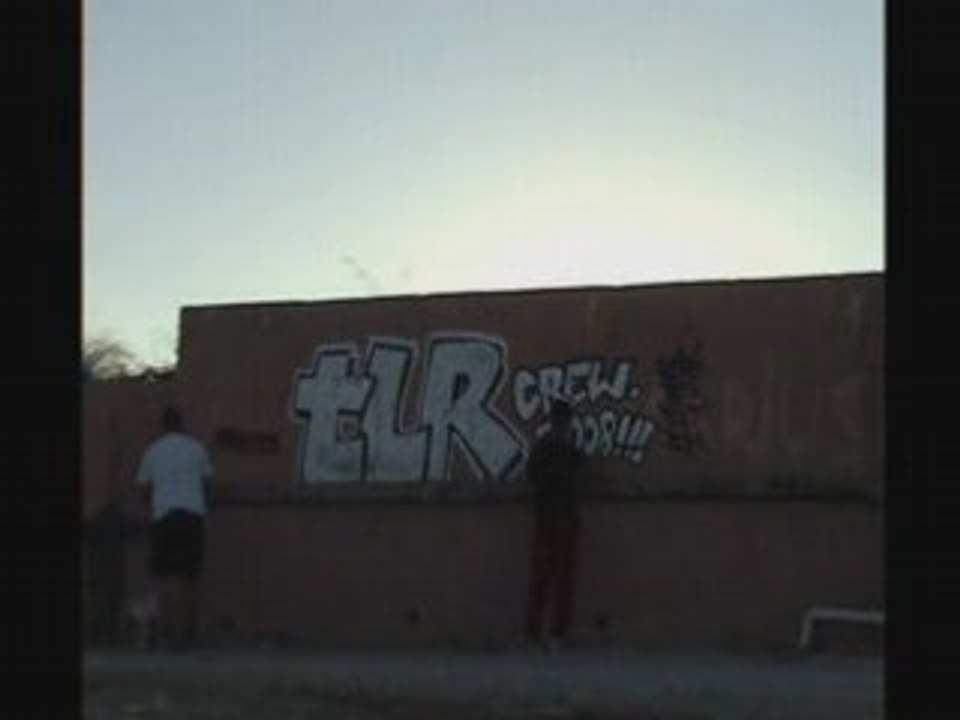TLR in action .