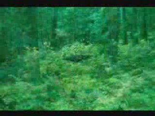 Dr. ReedRutter Alien (2) - Still Photos