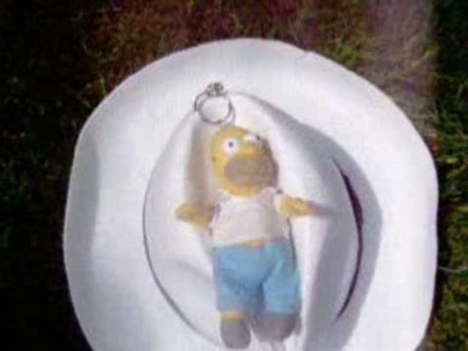 homer donuts