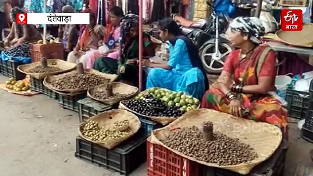 जंगल का सफेद सोना बोड़ा, 5 हजार रुपए तक पहुंच जाती है कीमत, दुर्लभ और स्वाद के कारण डिमांड ज्यादा