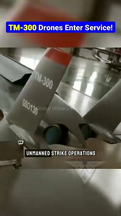 China Launches TM-300 Swarm