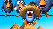 The worst Bungee Jump in history 😭 #talkingbirds