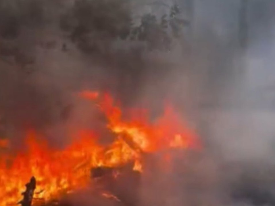 Flammeninferno in Brandenburg: 4000 Quadratmeter Wald stehen in Brand