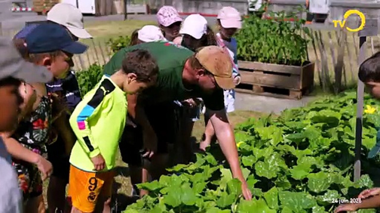 Sujet: légumes en ville