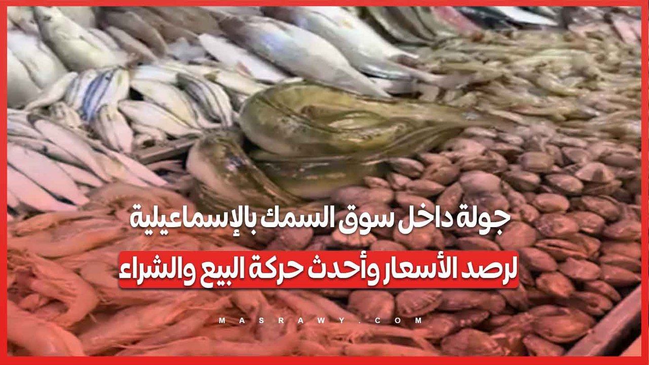 جولة داخل سوق السمك بالإسماعيلية لرصد الأسعار وأحدث حركة البيع والشراء