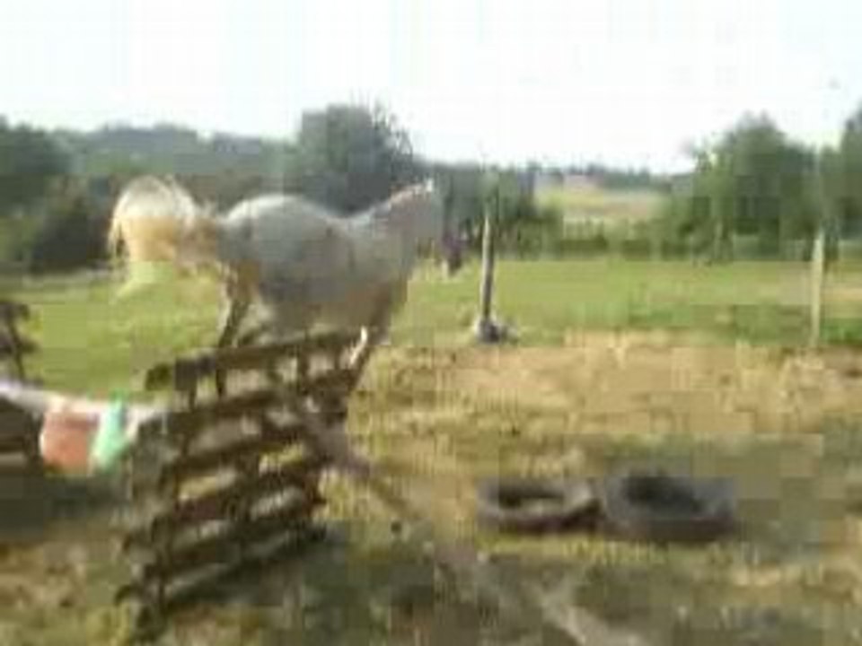 25 juin 08 (4)
