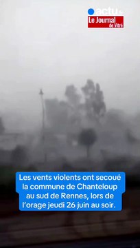 Violent orage en Ille-et-Vilaine : « En 40 ans, je n’ai jamais vu autant de branches tomber »