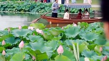 端阳渡清漪（50集）短劇線上看