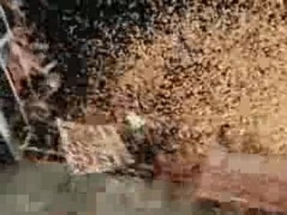 Video nike