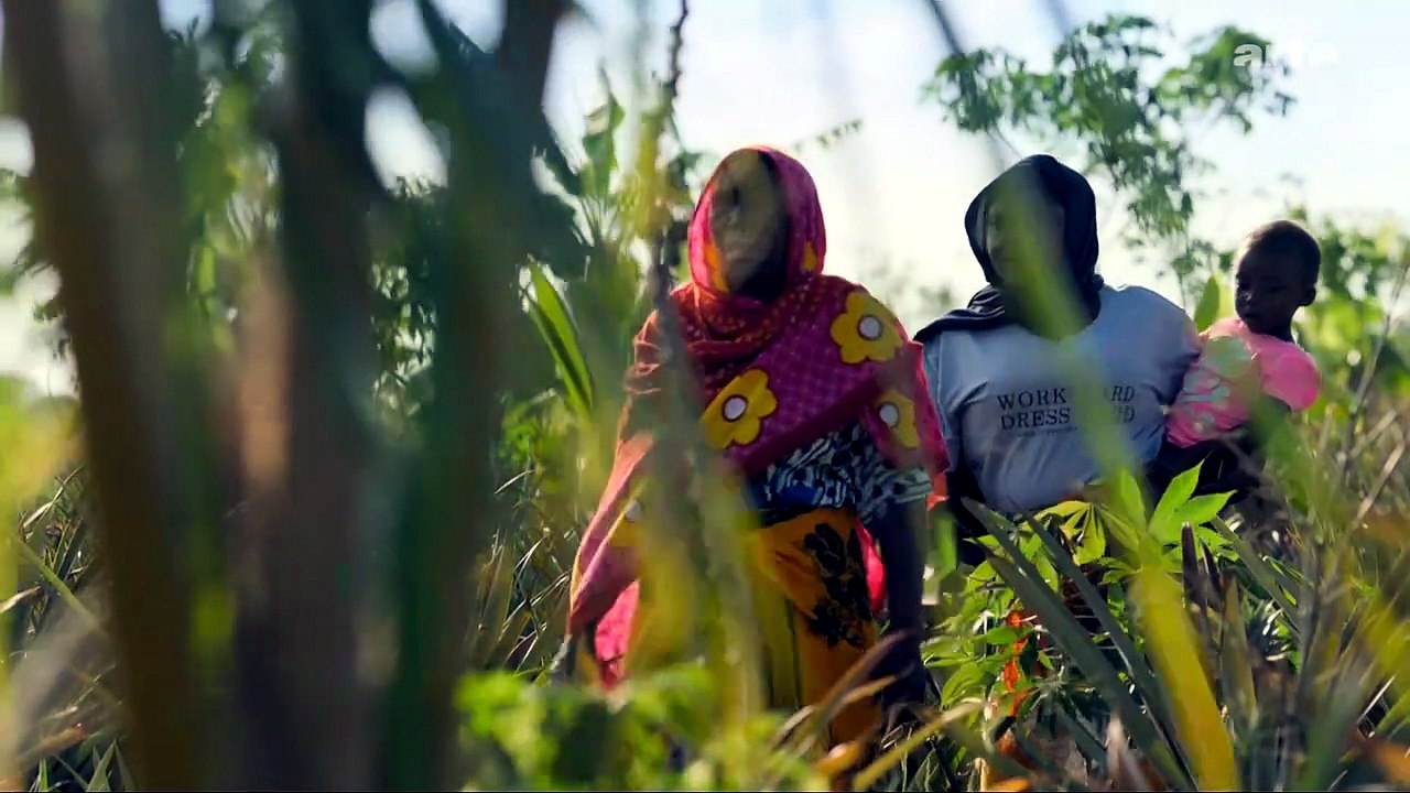 8014     Malaria bekämpfen Frage