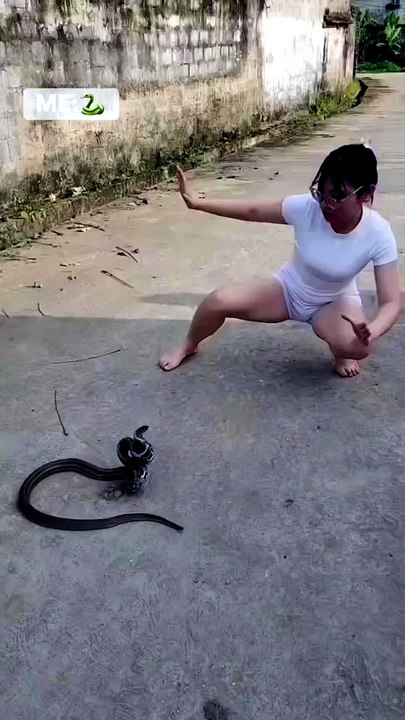 Menang banyak ularnya