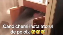 viral humor