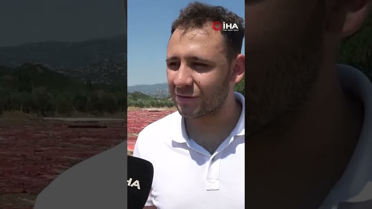 Bu Tarlada Hasat Halı! Dünyada Eşi Benzeri Zor Bulunuyor