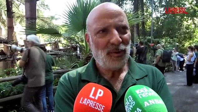 Roma, al Bioparco ghiaccioli per gli animali contro il caldo record