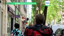 Жара в Париже: ветеринар спасает домашних животных, пострадавших от зноя
