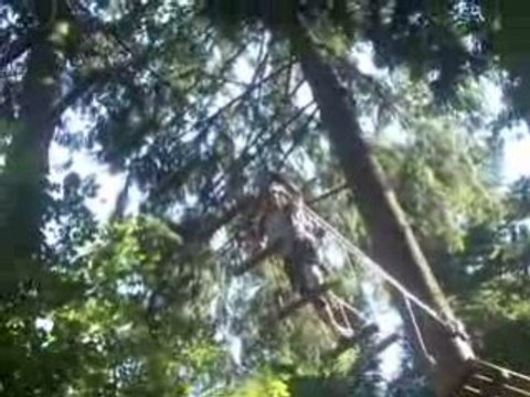 Jean François et Sebastien font de l'accrobranche