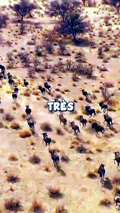 Enfin des SERVEURS FORTNITE en AFRIQUE ! 😲
