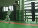 karate karateka du dimanche loupé nul regis best koreus con