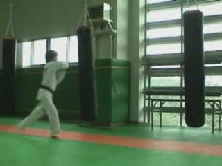 karate karateka du dimanche loupé nul regis best koreus con