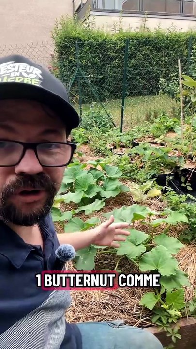 ⚠️ Le danger CACHÉ de tes courgettes !