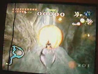 Bug Zelda Twilight Princess