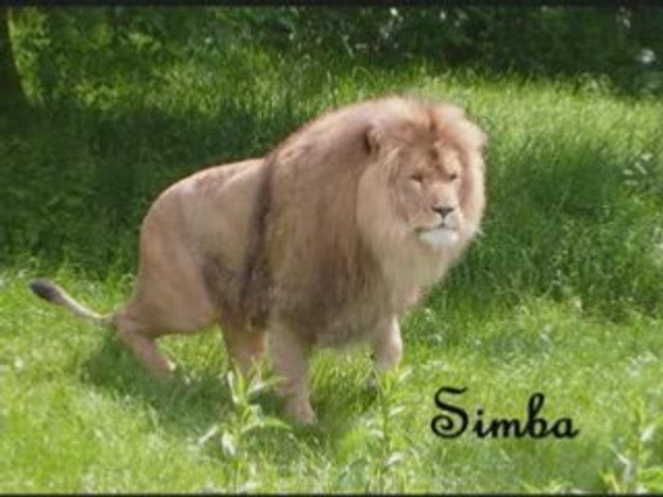 Zoo de CERZA