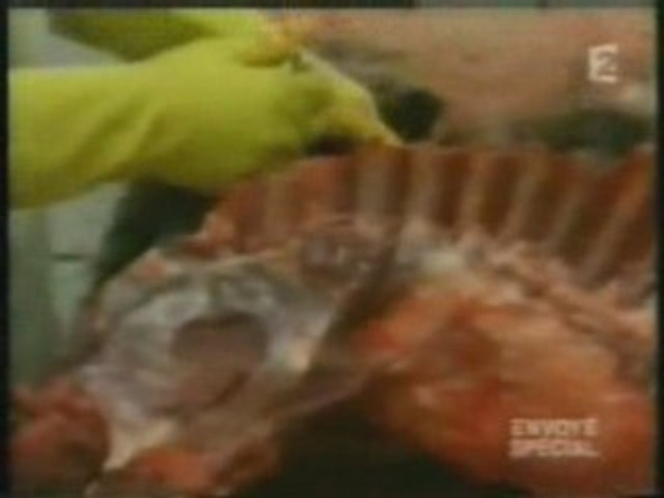 OGM poison déguisé 1 de 2