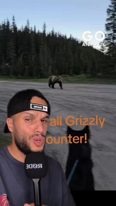 Un ours veut approcher une femme avec son chien