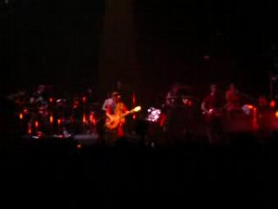 concert Manu Chao 24/06/08