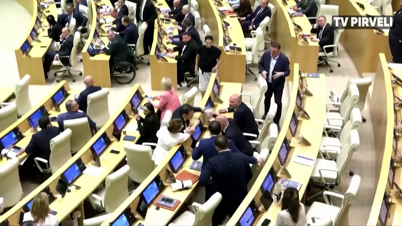 Georgian lawmakers brawl in parliament during PM's annual report