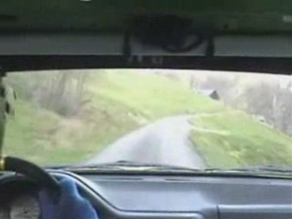 Rallye_du_beaufortain_2008_PISCITELLI_CEDRIC_106_KITCAR