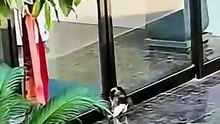 I saw a kitten stuck in an electric gate, rescued it, and then... 🐱❤️