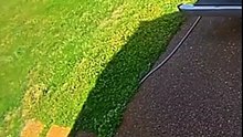 Some car disaster video