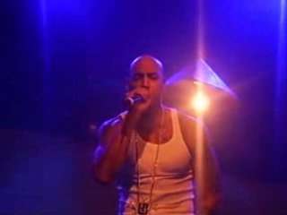 booba live pitbull ouest side tour