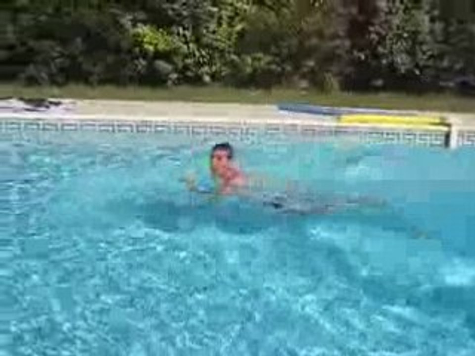 Plongeon