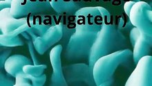 Jean Sauvage (navigateur)
