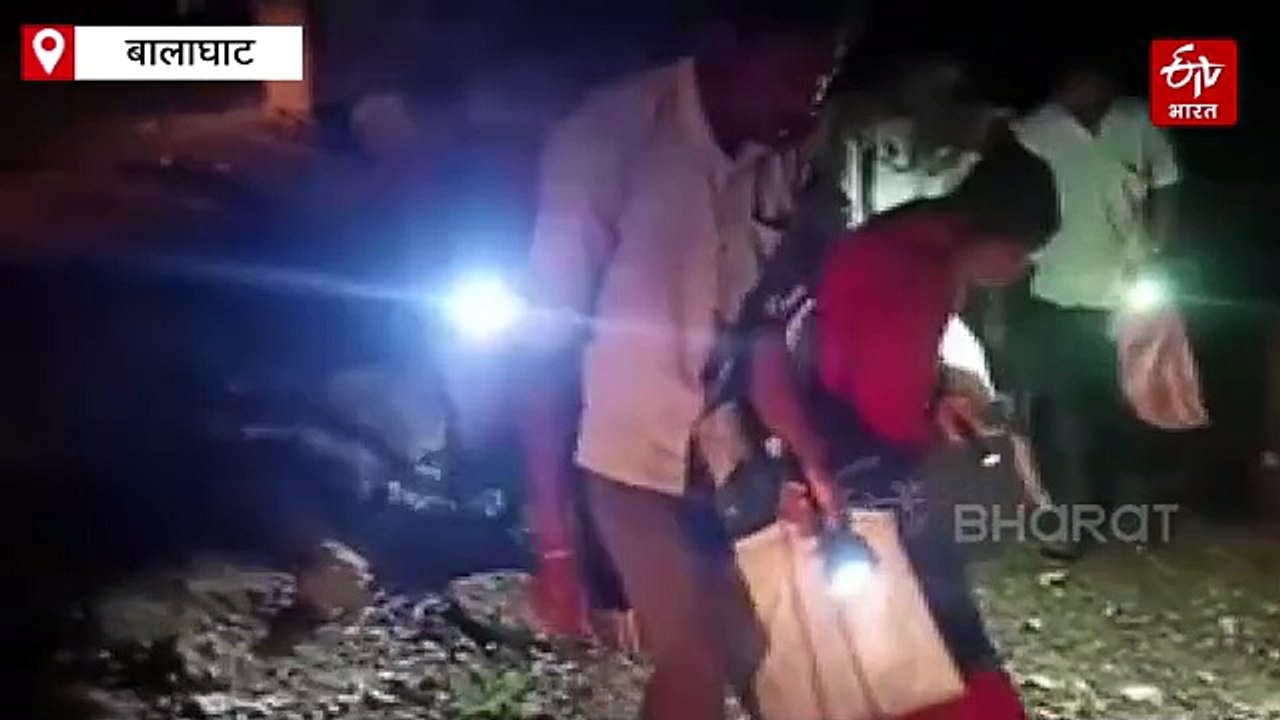 रात को जुगनू की तरह चमकते हैं बालाघाट के जंगल, कुदरत के सीक्रेट खजाने को बटोरने जुटे ग्रामीण